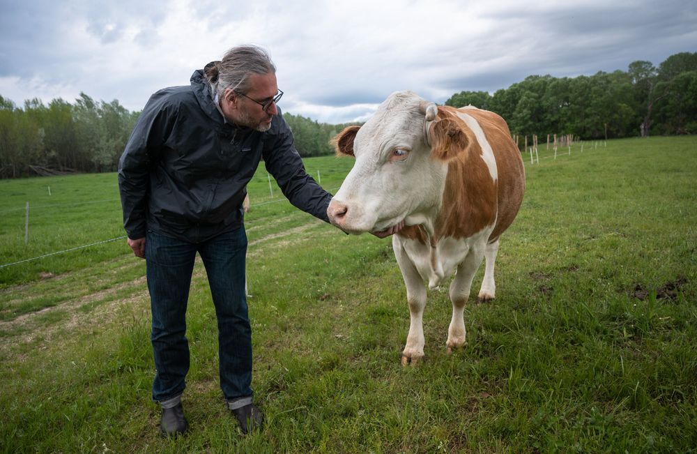 Martin Hojsík, foto Martin Hojsík Martin Hojsík