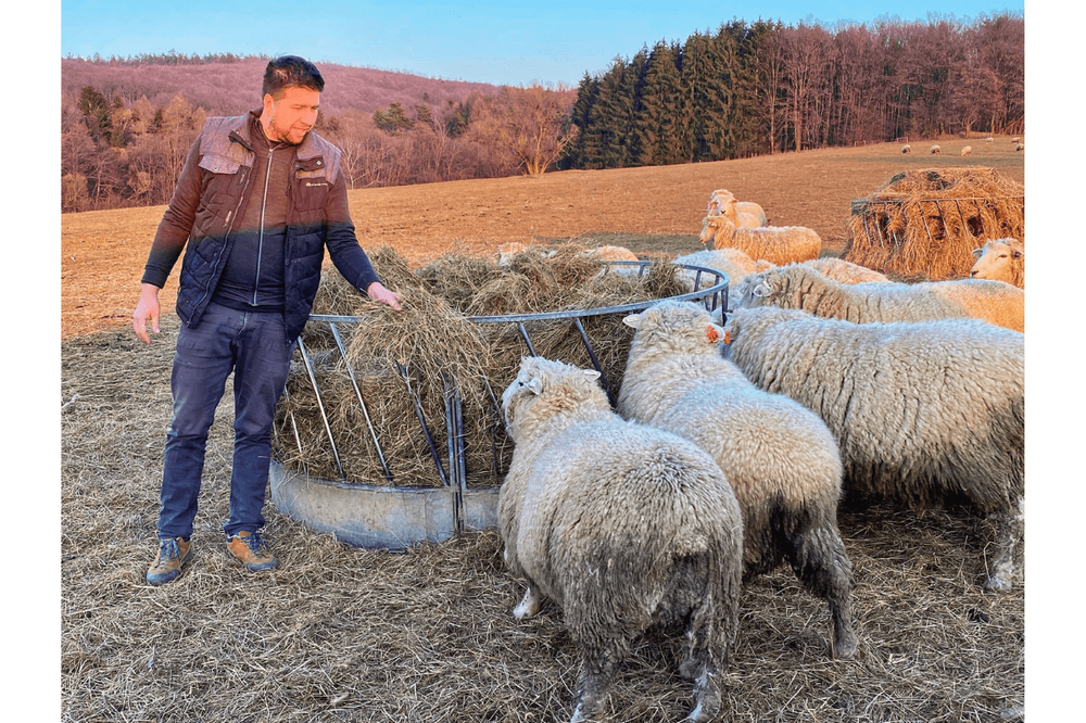 Jan Žák s ovcemi na pastvině, foto: Farma Rudimov Jan Žák s ovcemi na pastvině
