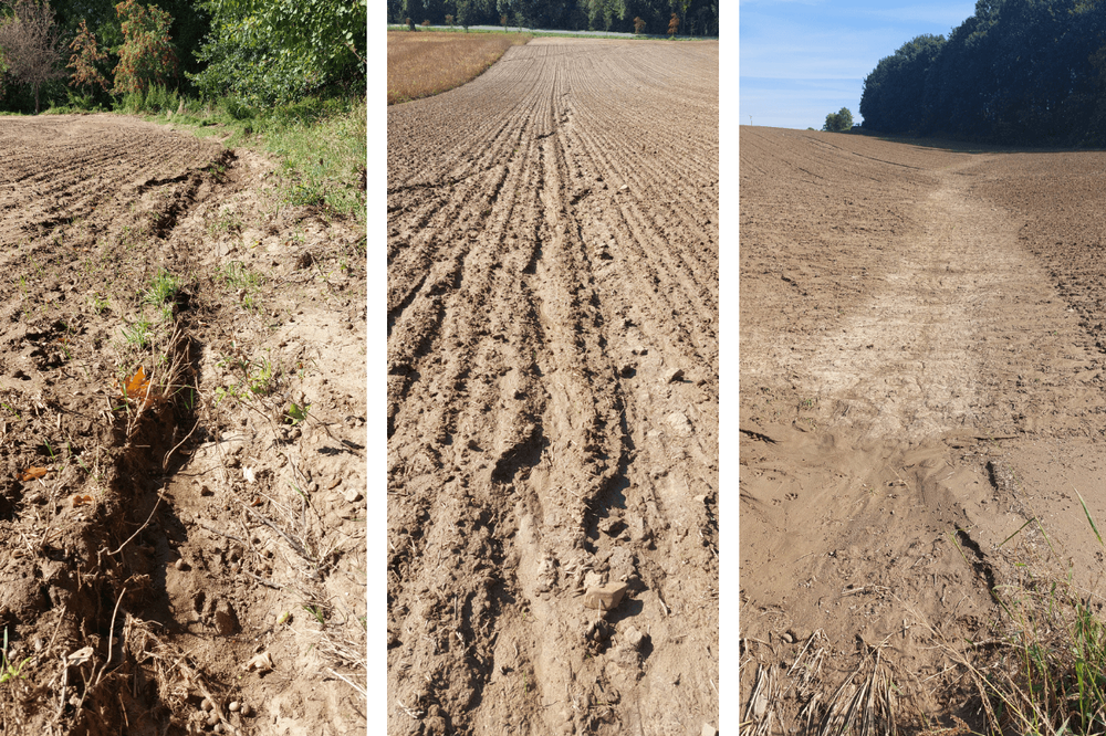 Eroze u obce Mošnov, foto: Monitoring eroze Eroze u obce Mošnov