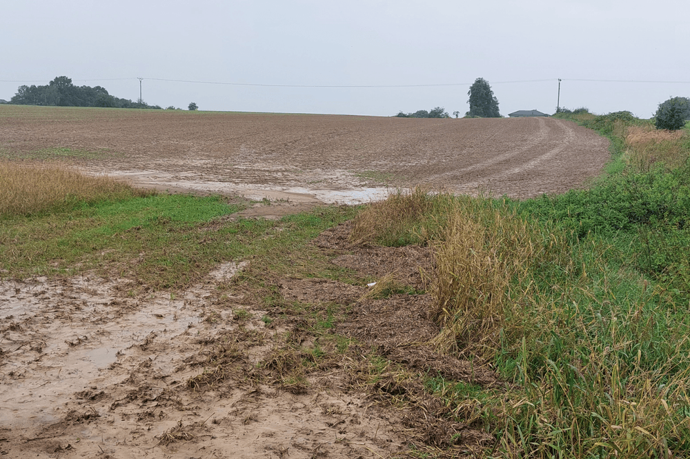Eroze u obce Mošnov, foto: Monitoring eroze Eroze u obce Mošnov
