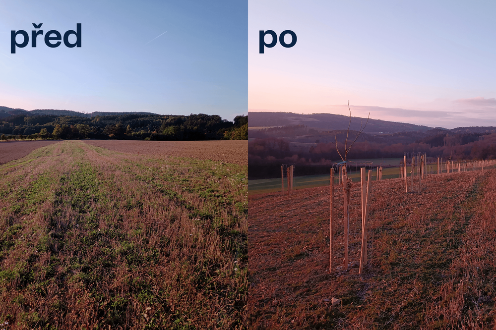 Foto: Krajina v Hostětíně před a po založením aleje