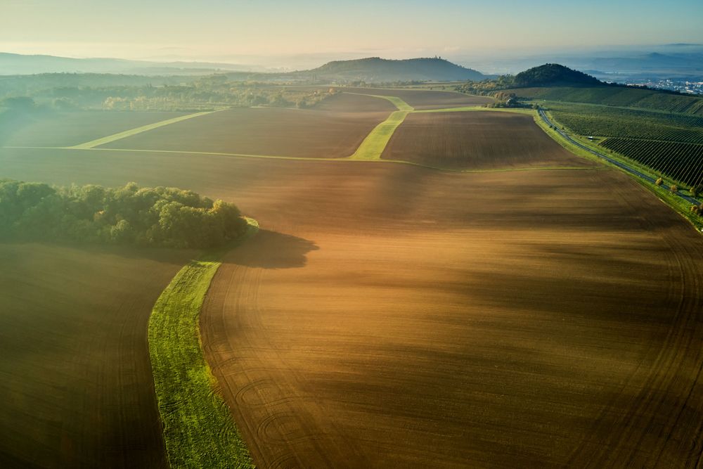 V popředí jabloňová alej, dále mezi poli mandloňová alej směřující k Mikulovu, foto: Jan Miklín V popředí jabloňová alej, dále mezi poli mandloňová alej směřující k Mikulovu
