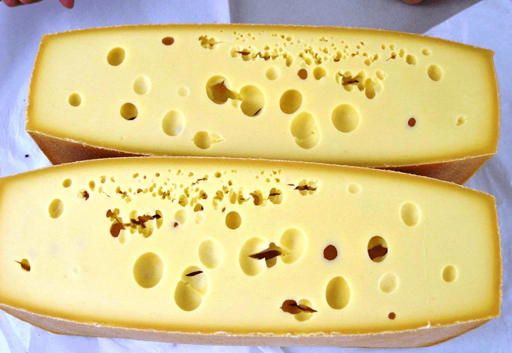 máselné kvašení sýru