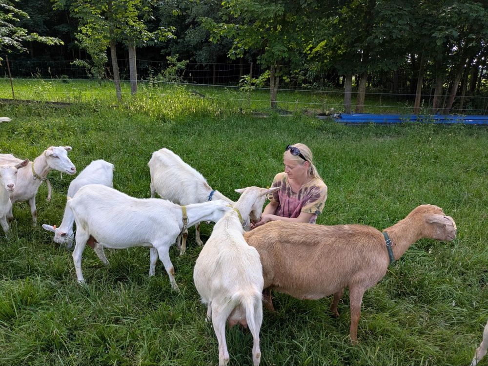 Marie Květoňová, Hospodářství U Sedláků, foto: Michal Zedek Marie Květoňová, Hospodářství U Sedláků