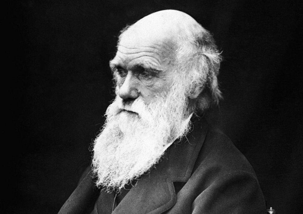 Charles Darwin. Foto: Pixabay.com